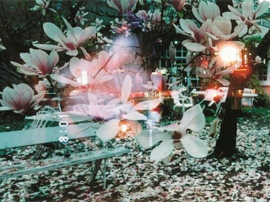 Orléans+Tsukuda, 2006, c-print (multiple exposure). Published in Omotegami, Shichosha, 2008. © Gozo Yoshimasu and Shichosha