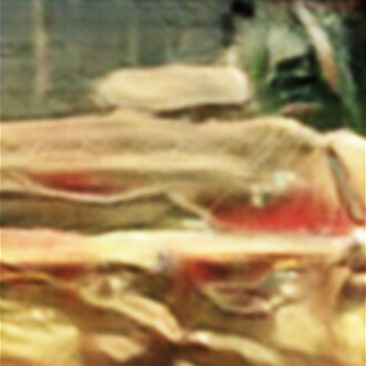 Casey Reas. Courtesy of DAM Gallery