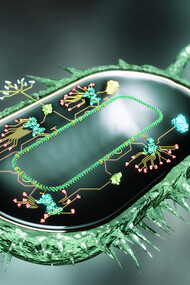 Synthetic bio cell