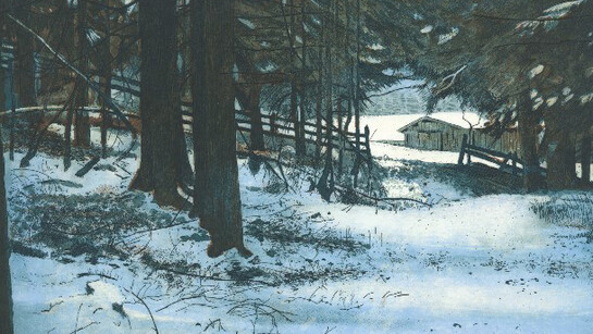 Louise Leonard, Where woods these are I think I know