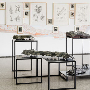 Natural Histories, Exhibition view. Courtesy of Mumok 