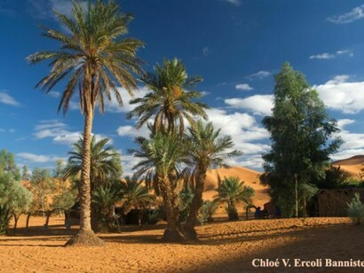 Morocco. Oasis