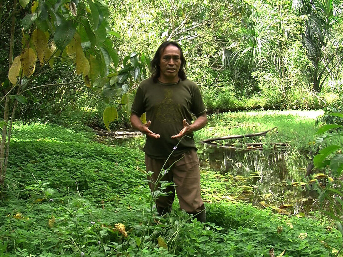 Ursula Biemann and Paolo Tavares, Forest Law, 2014, Courtesy the artists