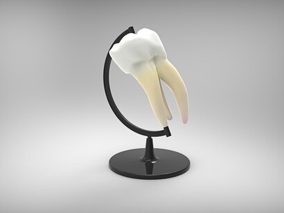 L’imperativo è di curare i denti malati, evitare le estrazioni, ricostruire ciò che è andato perso