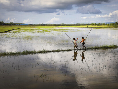 GMB Akash. 'Reflections'