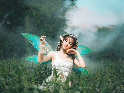 Fata nel bosco. Zucche che diventano carrozze, lampade che sprigionano geni, manne che cadono dal cielo