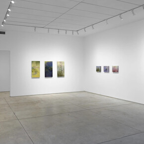 Darren Waterston, Adrift, exhibition view. Courtesy of Inman Gallery
