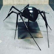 Spiders. Courtesy of ROM
