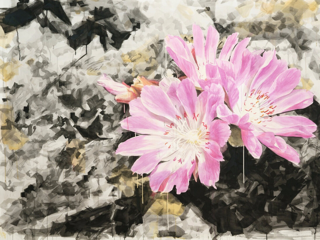Eric LoPresti, Lewisia with Crystal Background, 2016. Courtesy of Elizabeth Houston Gallery
