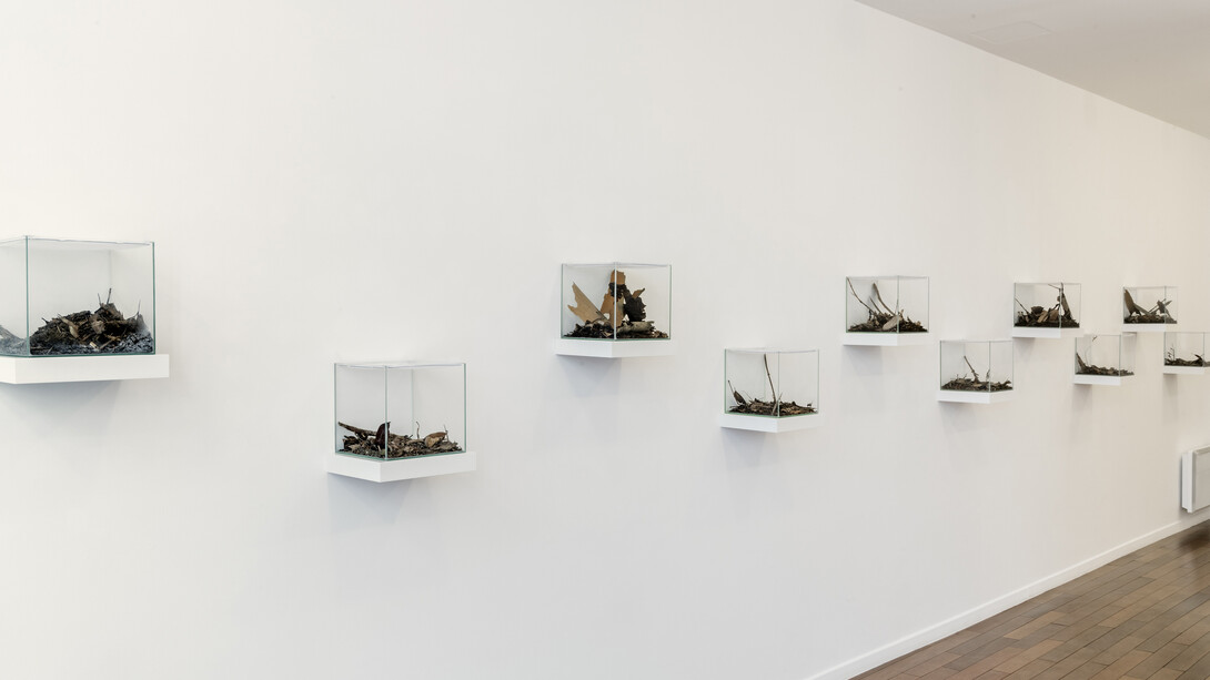 Coquelicots, Exhibition view. Courtesy of MFC - Michèle Didier