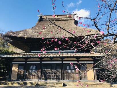 Choshoji Temple © Alma Reyes