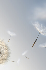 Breath, retain and let go