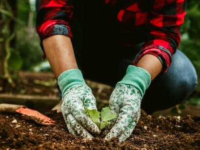 Agricultora cuida de sua horta. No universo, este tipo de agricultura desempenha um papel central na produção de alimentos e no bem-estar das populações rurais. De acordo com a FAO (2000), nos países desenvolvidos, observa-se um crescimento médio de 30% na produção e produtividade agrícola, especialmente nas culturas de arroz, contribuindo diretamente para a segurança alimentar e o aumento do rendimento da população economicamente ativa





