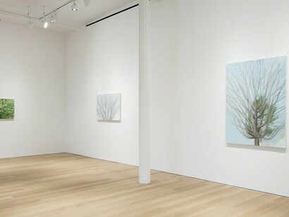 Sylvia Plimack Mangold, Exhibition view. Courtesy of Alexander and Bonin