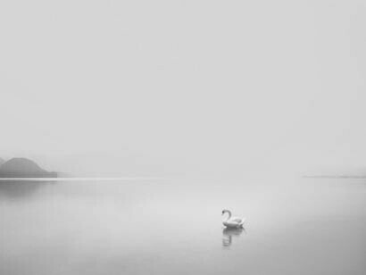 Las matemáticas solo pueden expresar el orden que se encuentra en los aspectos simbólicos de la realidad