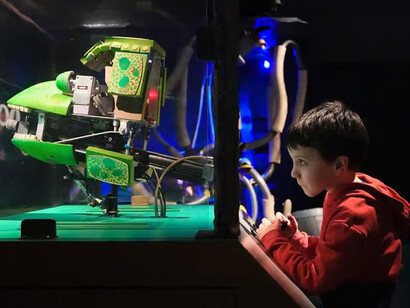 The robot zoo, exhibition view. Courtesy of Horniman Museum and Gardens