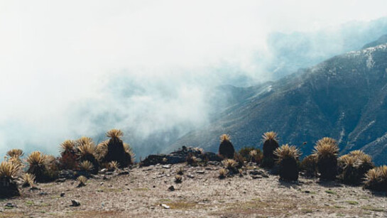 Axel Hütte
Pico de Aguila, Venezuela
1998
c-print
187x237cm/732/3x931/3in
Edition of 4
courtesy the artist and Daniel Marzona, Berlin
