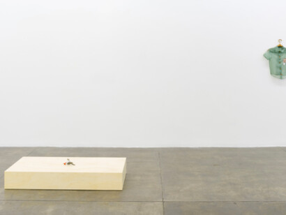 Instances of Seeing, Exhibition view. Courtesy of Fortes D’Aloia & Gabriel