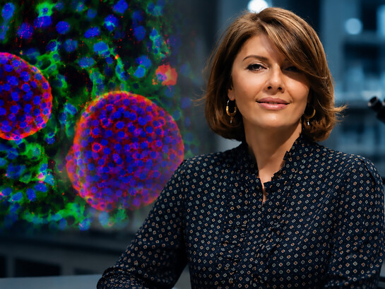 Professor Ekaterine Berishvili, regenerative medicine researcher at the University of Geneva, leading innovative bioartificial pancreas research for Type 1 diabetes treatment