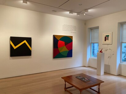 Various artists, A planar garden, exhibition view. Courtesy of Alexandre Gallery