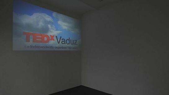Simon Denny, TEDxVaduz redux, Installation at T293, Rome, February 27 – April 1, 2014