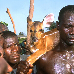 The Pain and the Glory. Courtesy of The Coningsby Gallery