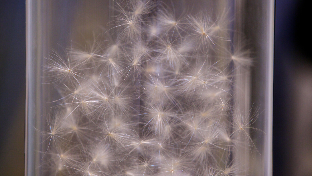 All images: Installation view of Rupert Ackroyd, 'Cathedral Blocks and Thistle Seeds' at Marsden Woo Gallery (2015), image © Philip Sayer, Courtesy of Marsden Woo Gallery