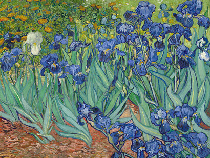 Vincent van Gogh, Irises (1853–1890) 