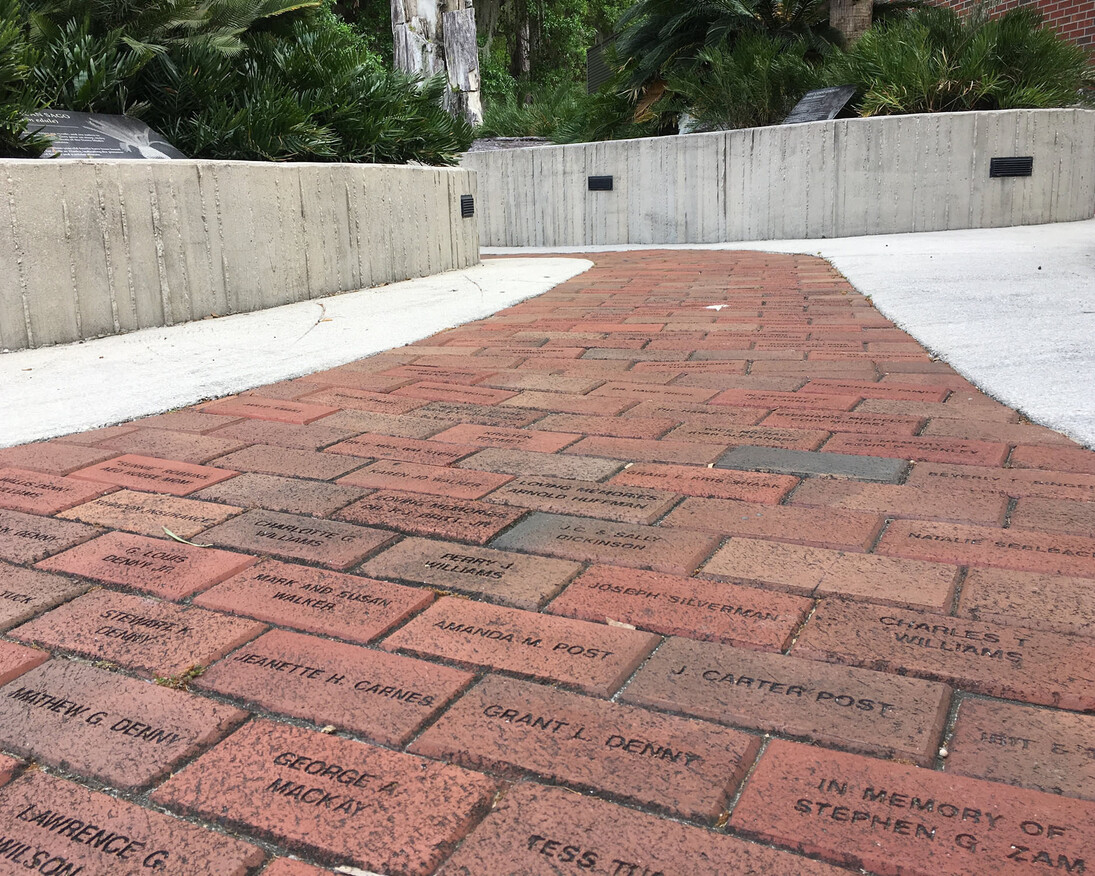 Fossil Plant Garden. Courtesy of Florida Museum of Natural History