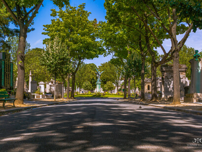 Il cimitero di Montparnasse in agosto, Parigi, Francia
