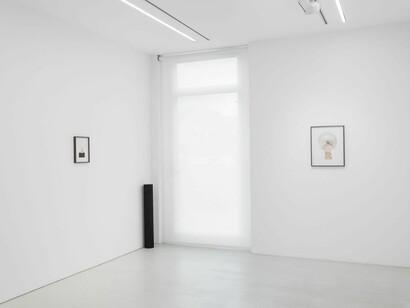 Anca Munteanu Rimnic, Treatise on Bruises, ausstellungsansicht. Mit freundlicher genehmigung der Galerie Plan B