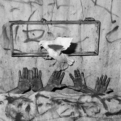 Roger Ballen. Courtesy of Galeria Senda
