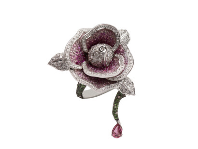Gismondi Ring 2015