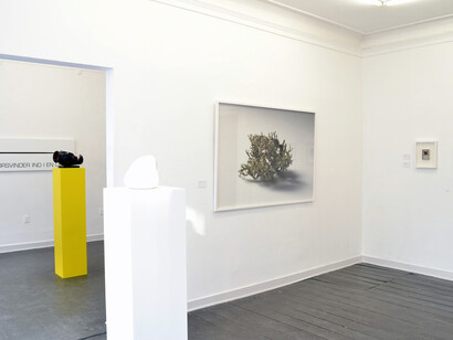 Synopsis. Courtesy of Marie Kirkegaard Gallery