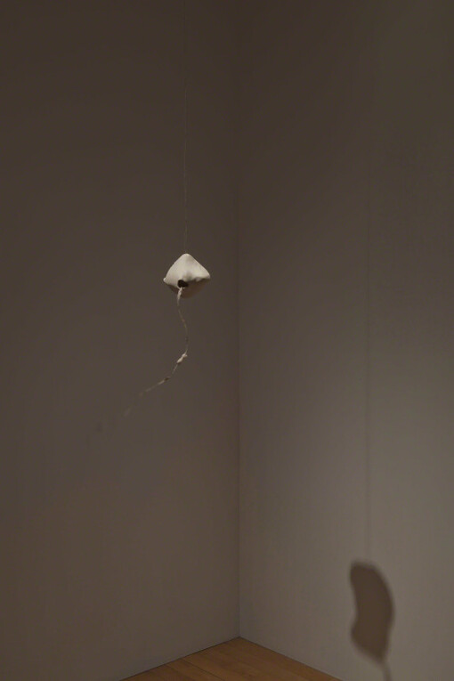 Void Weaves, Bone Scores. Courtesy of Josée Bienvenu Gallery