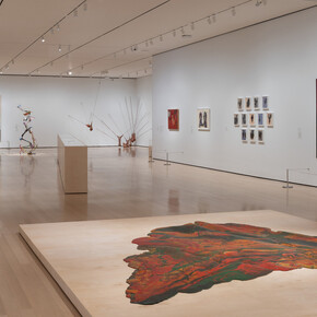 Various artists, Vital signs. Artists and the body, exhibition view. Courtesy of MoMA