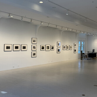 Emily Nelligan, Cranberry island, exhibition view. Courtesy of Alexandre Gallery
