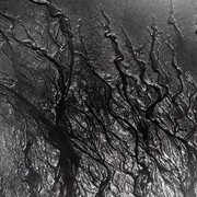 Strange Light: The Photography of Clarence John Laughlin. Courtesy of High Museum of Art