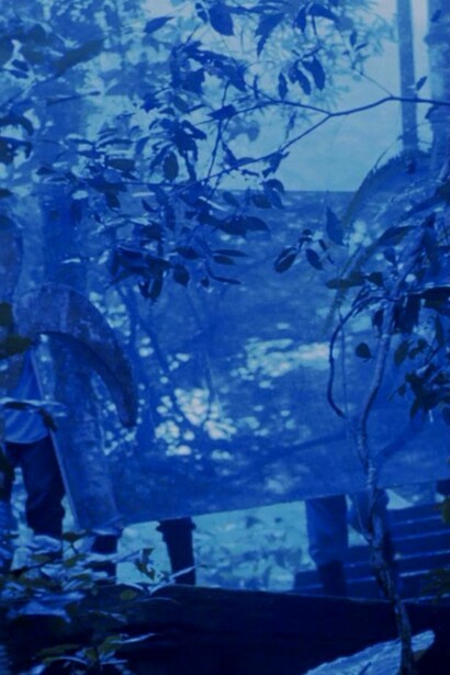 Melanie Smith with Rafael Ortega, Xilitla: Dismantled 1, 2010, 35mm transferred to video: color, sound, 12:00 minutes