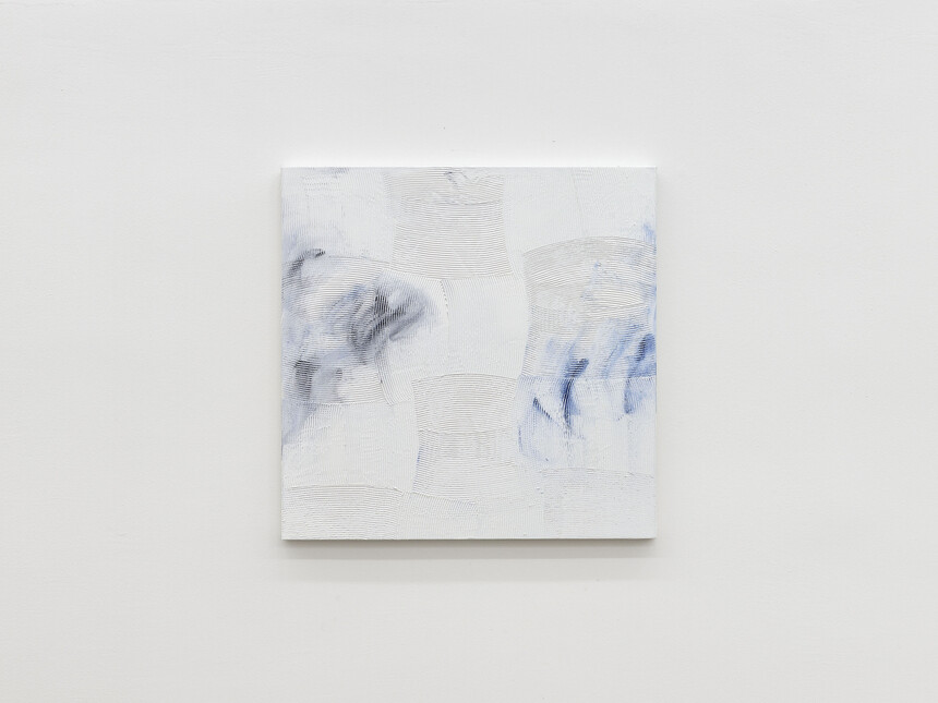 Dan Rees | Meer