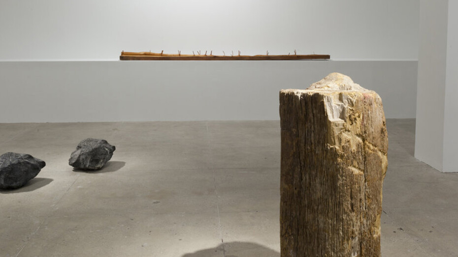 Giuseppe Penone. Courtesy of Marian Goodman Gallery