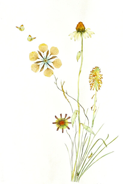 Marilla Palmer, Mellow yellow, 2025. Courtesy of Kathryn Markel Fine Arts
