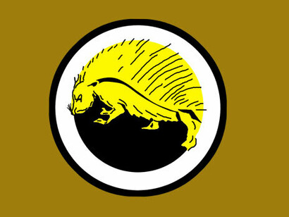 Insignia de la SOP 134