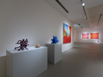 Radka Bodzewicz, Faust, exhibition view. Courtesy of DOX