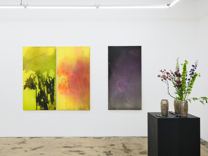 Seth Cameron, Good dog, exhibition view. Courtesy of Nina Johnson