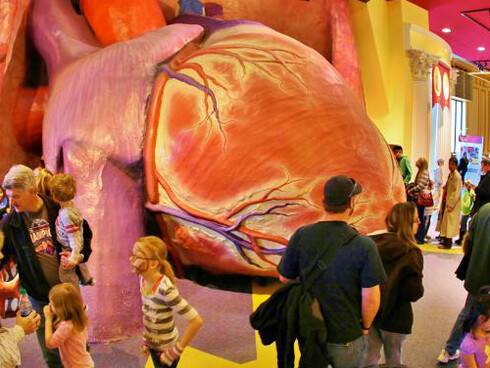 The Giant Heart. Courtesy of The Franklin Institute
