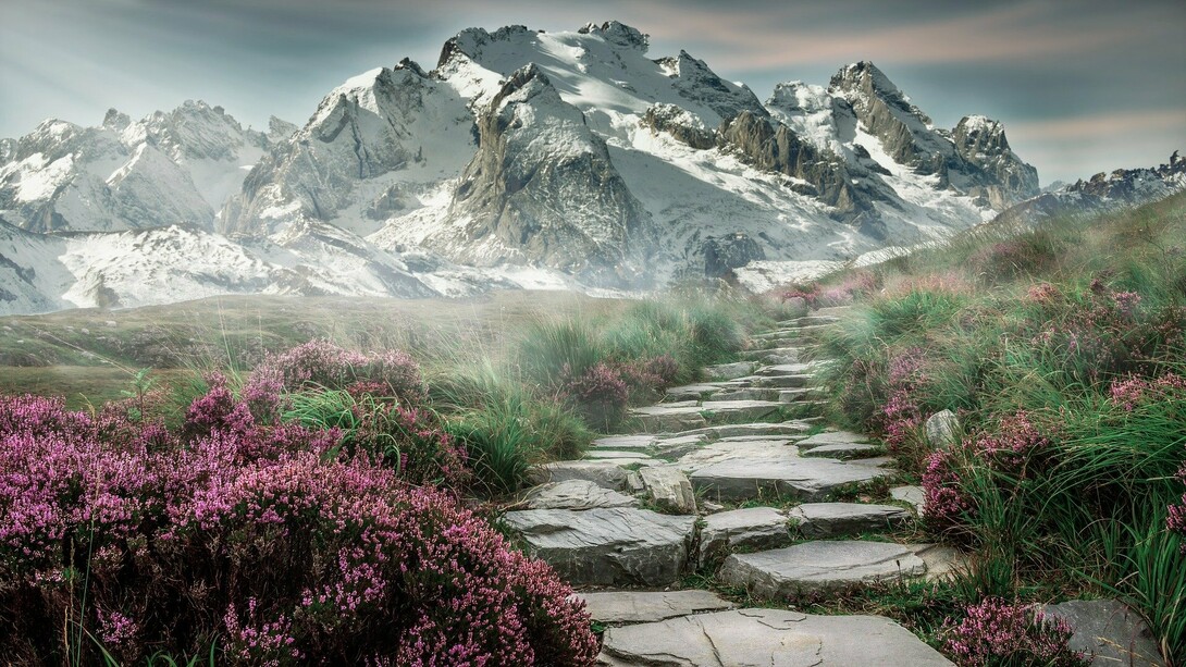 I never imagined a time in which you, with your vast lands and boundless novelties, would become eerily reclusive