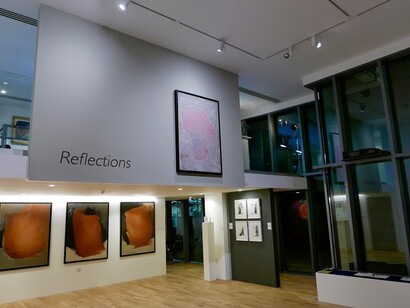 Reflections view