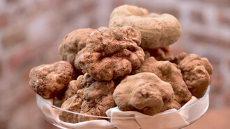 Il profumatissimo tartufo bianco di Alba