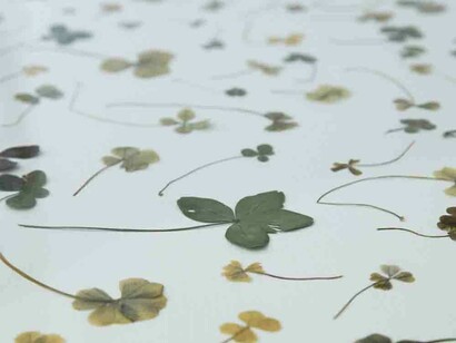 Tacita Dean. Courtesy of Royal Academy of Arts